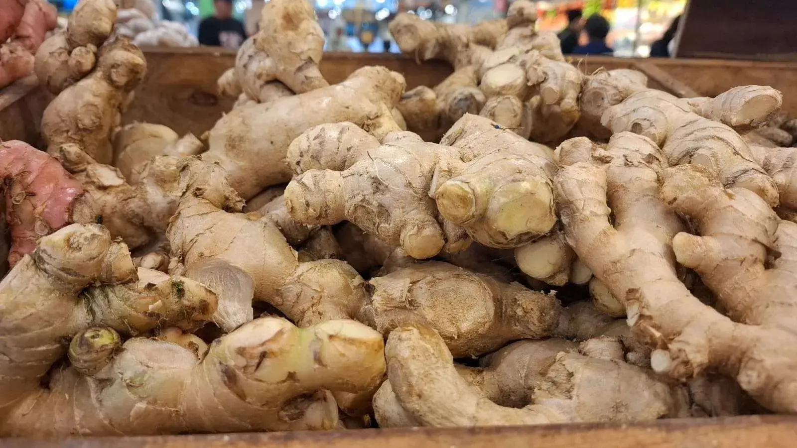 Ginger