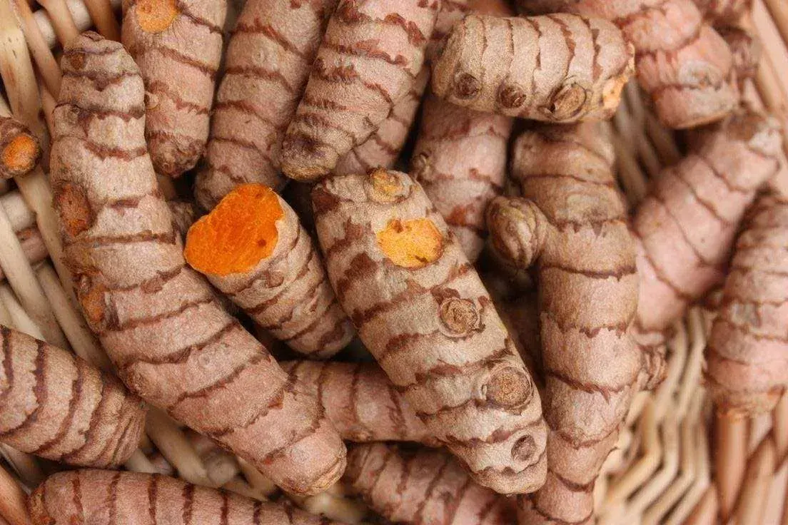Turmeric