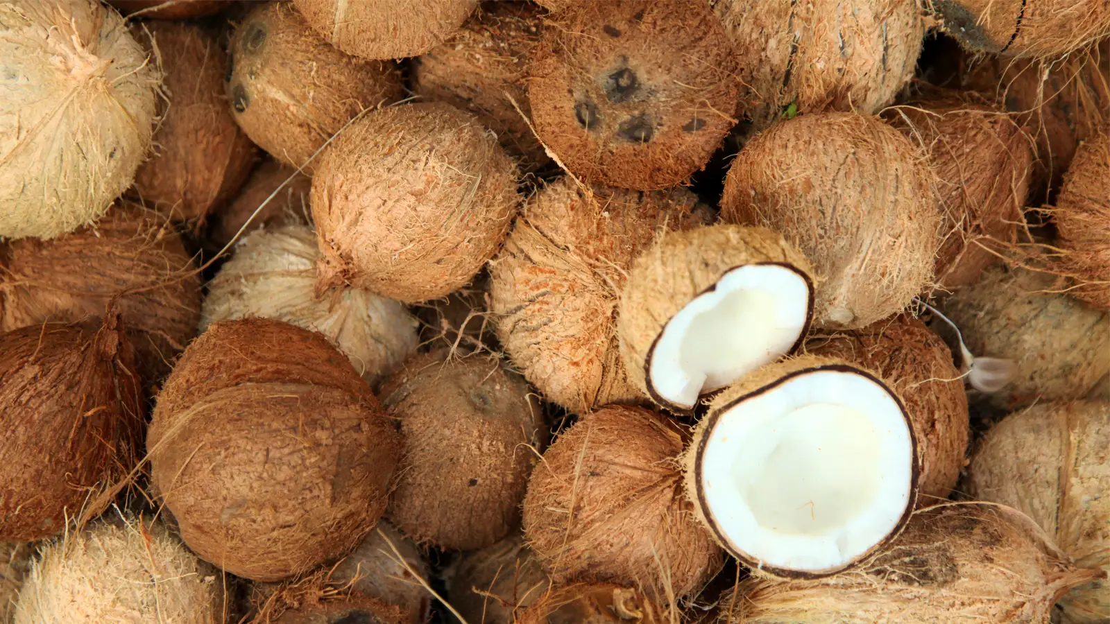 Semi Husked Coconut