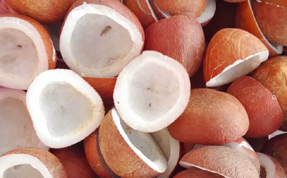 White Copra