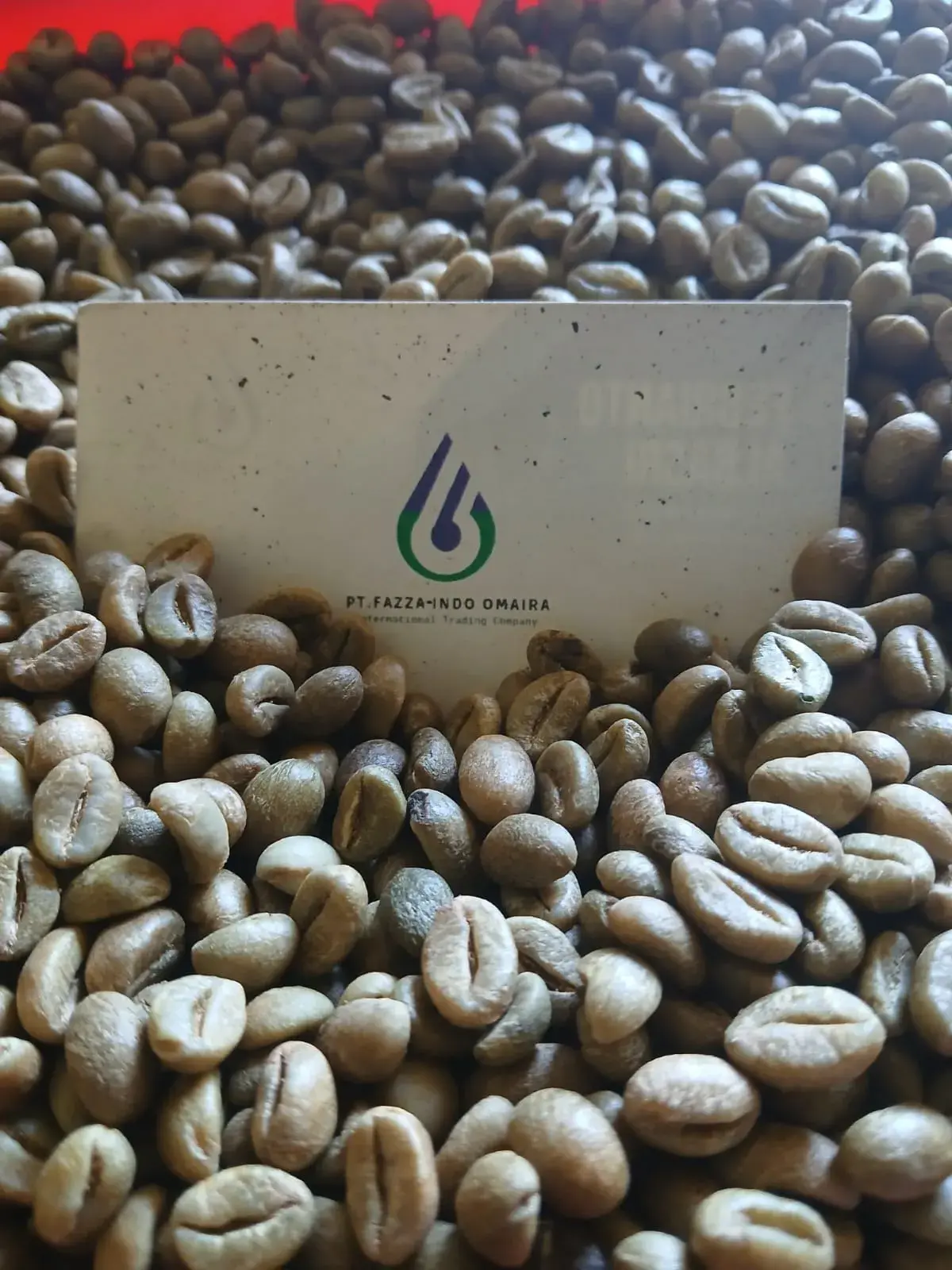 Kopi Robusta Pagar Alam