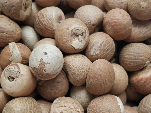 Dried Areca Nut