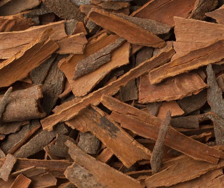 Cinnamon Broken