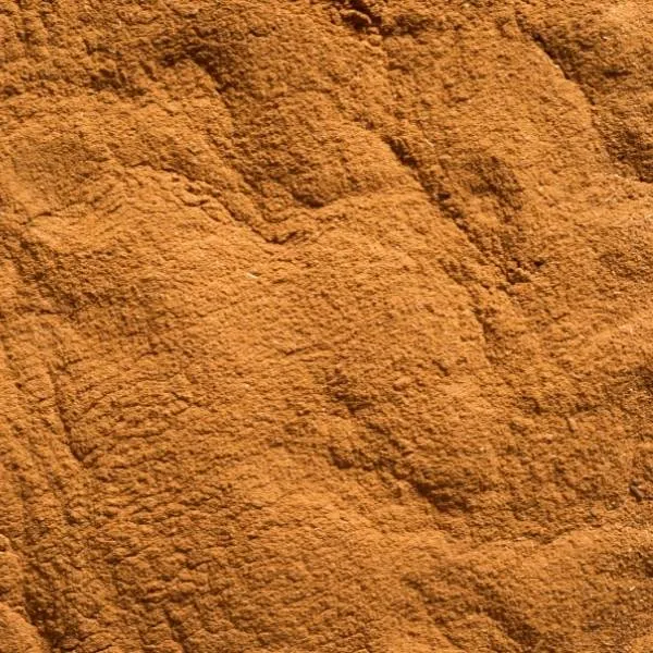 Cinnamon Powder