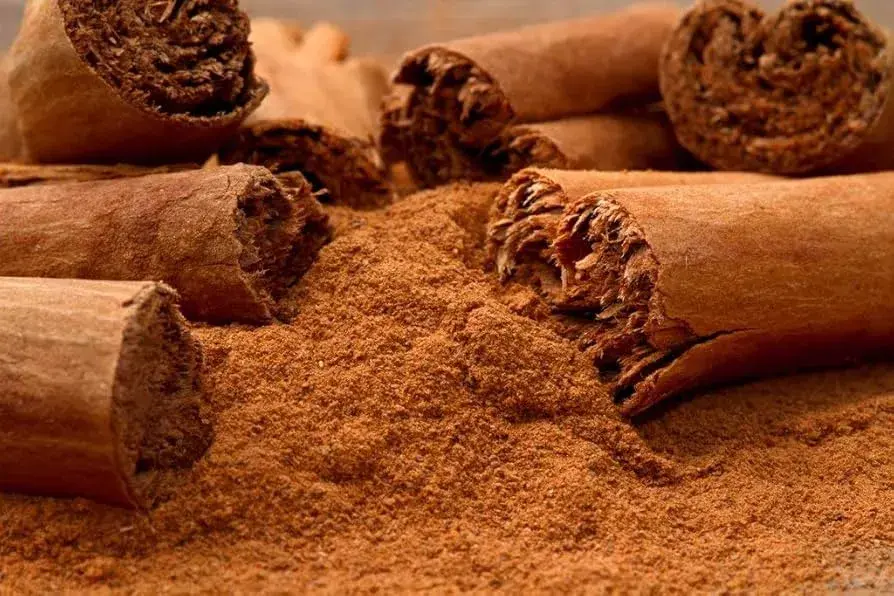 Cinnamon Stick