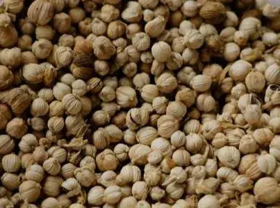 Cardamom