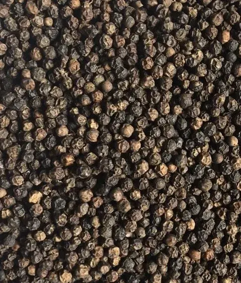 Black Pepper