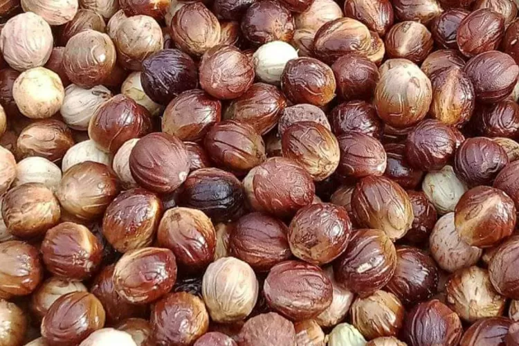 Nutmeg
